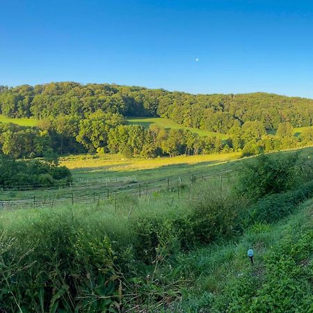 Bauernhof Fuer Naturliebhaber Bucha (Saale-Holzland) Exterior foto