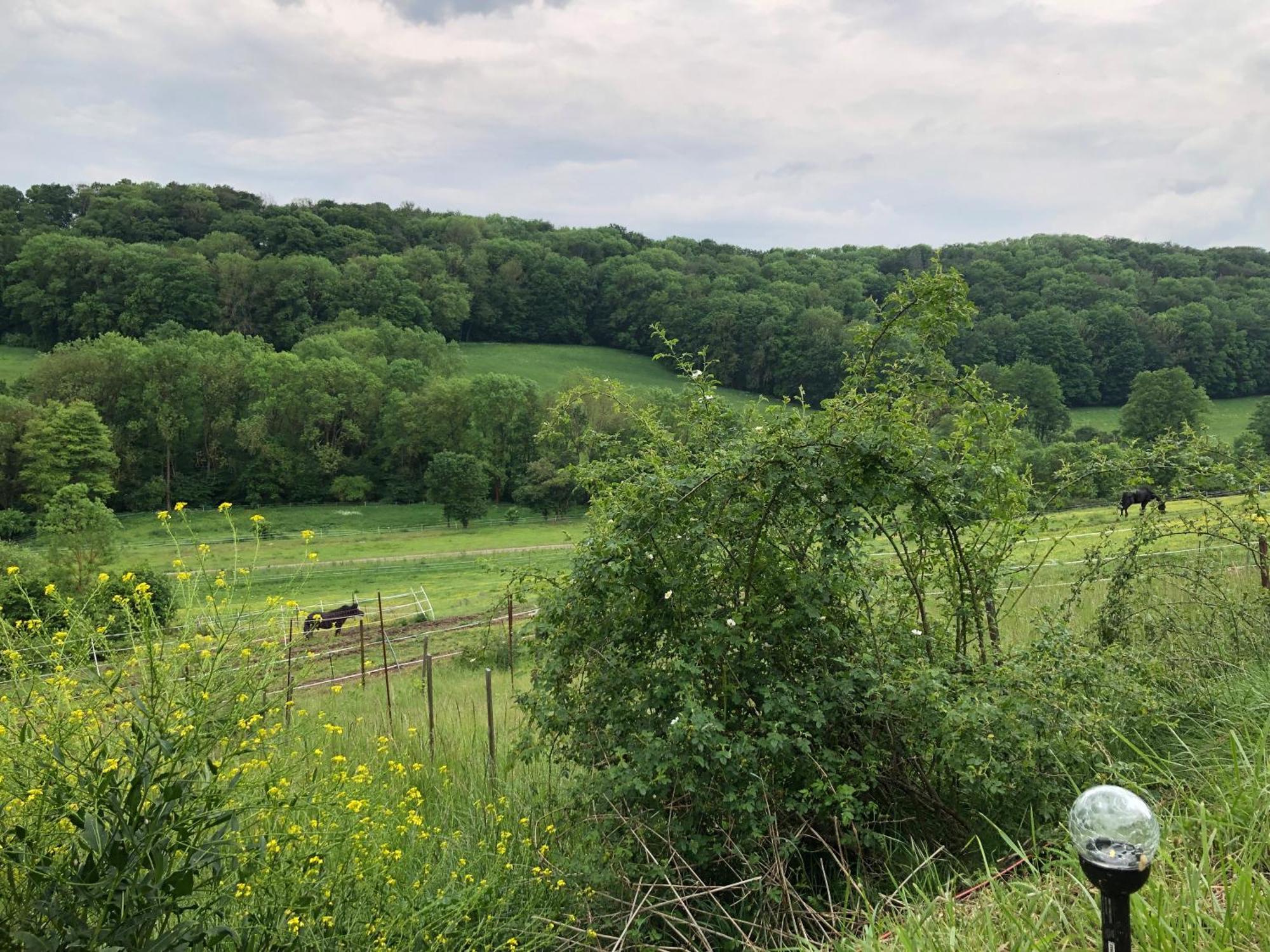 Bauernhof Fuer Naturliebhaber Bucha (Saale-Holzland) Exterior foto